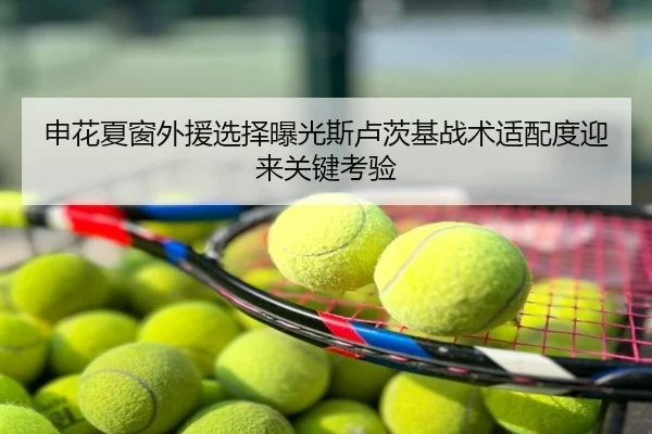 申花夏窗外援选择曝光斯卢茨基战术适配度迎来关键考验