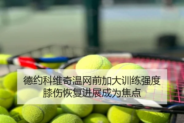 德约科维奇温网前加大训练强度 膝伤恢复进展成为焦点